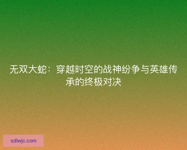 无双大蛇：穿越时空的战神纷争与英雄传承的终极对决