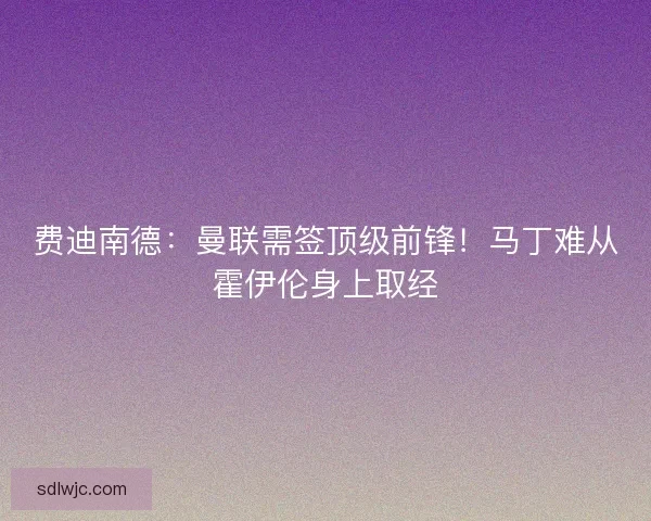 费迪南德：曼联需签顶级前锋！马丁难从霍伊伦身上取经