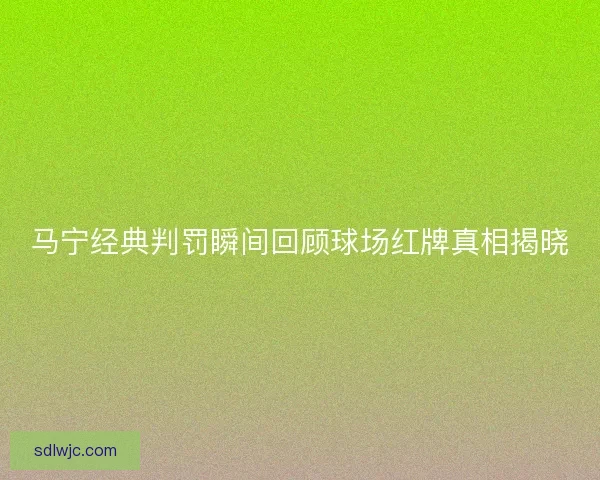 马宁经典判罚瞬间回顾球场红牌真相揭晓