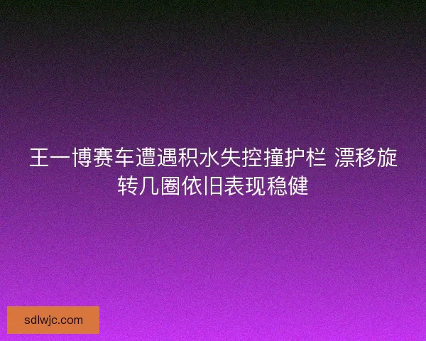 王一博赛车遭遇积水失控撞护栏 漂移旋转几圈依旧表现稳健